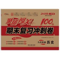 聚能闯关100分期末复习冲刺卷九年级下册历史23春 人教版修