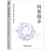 因果漫步 李廉 刘礼 杨矫云 廖军