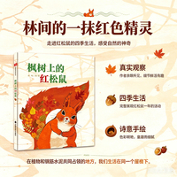 枫树上的红松鼠