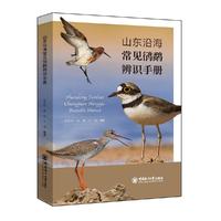 山东沿海常见鸻鹬辨识手册9787567042575