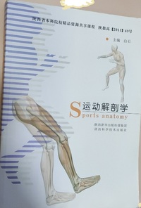 运动解剖学