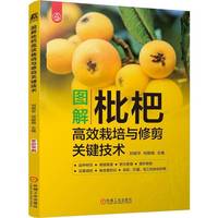 图解枇杷高效栽培与修剪关键技术    刘昭华 祝毅娟     枇杷肥水管理 枇杷整形修剪