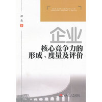 企业核心竞争力的形成.度量及评价