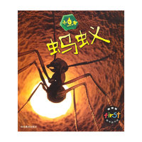 小虫书(共6册)/海涅曼童年图书馆(海涅曼童年图书馆)