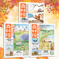 森林报-秋季（全3册）三四五年级小学生课外阅读