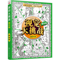 视觉大挑战:精华版. 银色卷