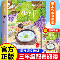 课本作家带你读：小虾三年级下册