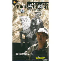 中央美术学院 王华祥反向教学系统 将错就错 素描教学系列(VCD)