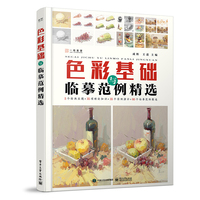 色彩基础与临摹范例精选