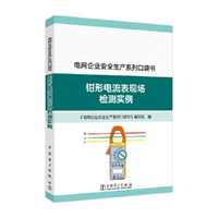 电网企业安全生产系列口袋书 钳形电流表现场检测实例