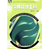 实用软件工具——信息管理与信息系统专业规划教材