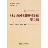 技术权力与企业创新网络空间演化的理论与应用