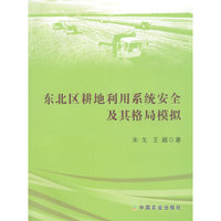 东北区耕地利用系统安全及其格局模拟