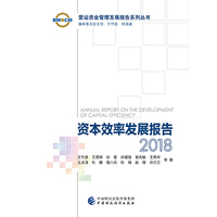 资本效率发展报告2018