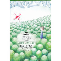 曹文轩儿童小说精粹拼音版 野风车