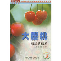 大樱桃栽培新技术