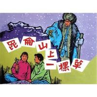 昆仑山上一棵草
