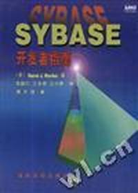 Sybase 开发者指南