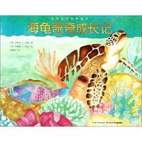 海龟奇奇成长记
