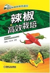辣椒高效栽培