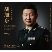 《晚风吹过的哨塔 2017年胡旭东军旅作品专辑》CD