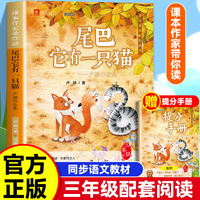 课本作家带你读：尾巴它有一只猫三年级下册