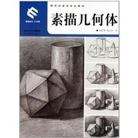 素描几何体(新世纪美术专业教材)（内容一致，印次、封面或原价不同，统一售价，随机发货）