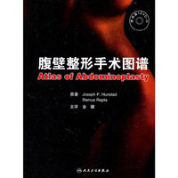 腹壁整形手术图谱-附光盘1DVD-R
