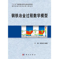 钢铁冶金过程数学模拟