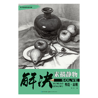 塑造.表现-解决素描静物
