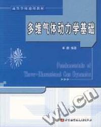 多维气体动力学基础(高等学校通用教材)