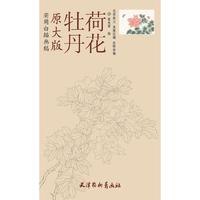 牡丹荷花