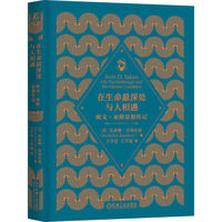 在生命最深处与人相遇：欧文·亚隆思想传记     （美）朱瑟琳·乔塞尔森     欧文·亚隆 心理学大师 心理疗愈