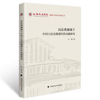 民法典视域下中国立法实践现代性问题研究