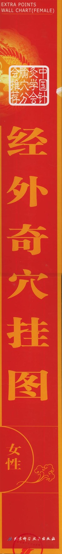 经外奇穴挂图（女性）