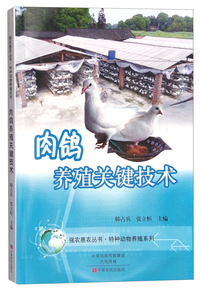 肉鸽养殖关键技术