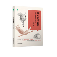 风中的丹顶鹤---- 相伴“湿地仙子”的日子