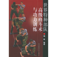 世界特种部队高级格斗术与功力训练