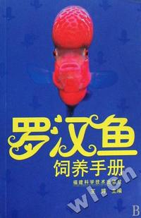 罗汉鱼饲养手册
