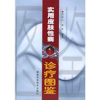 实用皮肤性病诊疗图鉴（精装）