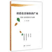 初恋在古铜色的广州：王麦小说电影剧本作品集