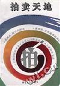 拍卖天地