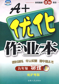 A+优化作业本：九年级物理（上）——配沪粤版