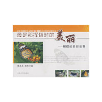 最是那挥翅时的美丽——蝴蝶的多彩世界