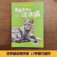 草原求生的流浪猫 （百班千人）