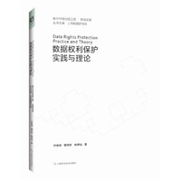 数据权利保护实践与理论（数字中国出版工程）