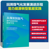 从煤炭到氢气 : 煤气化技术的前世今生