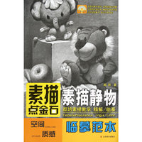 素描静物-素描点金石