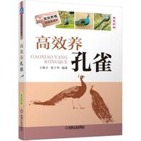 高效养孔雀