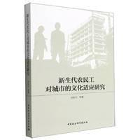 新生代农民工对城市的文化适应研究